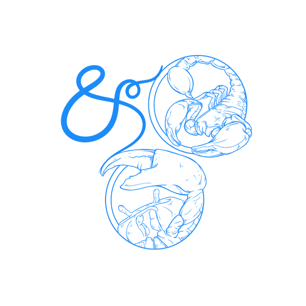 El signo zodiacal Cáncer y el signo zodiacal Escorpio