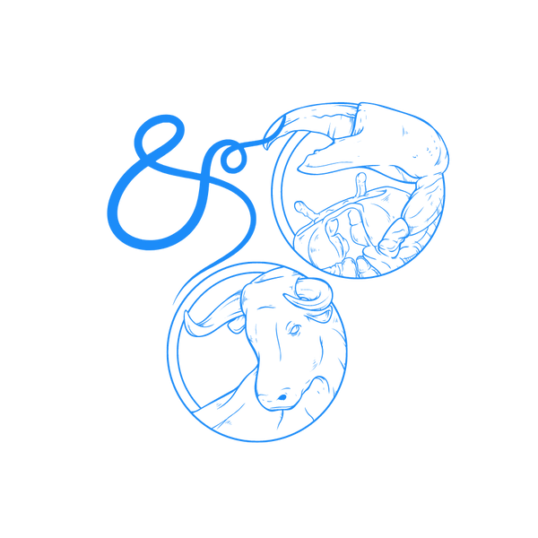 El signo zodiacal Cáncer y el signo zodiacal Tauro