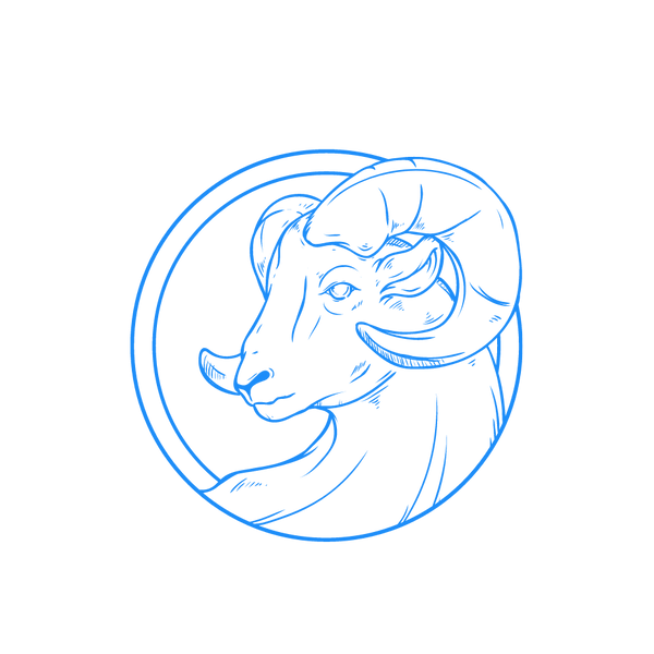 Aries en el amor la pareja